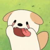 襟潇