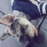 1秒1个烦恼