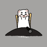 御鲨少女