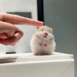 emmm...