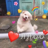 烦了毁灭吧