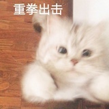 鱼香肉丝最下饭