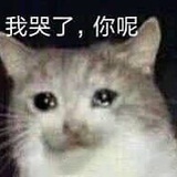 达西