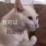 八戒是我怎么了