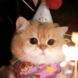 。