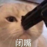我不叫喂