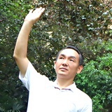王乐元诗歌小站