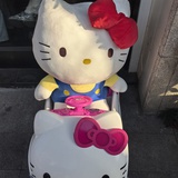 草台班子一员