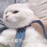 忘时夜昼