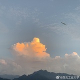 瓜瓜瓜娃子