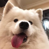 传奇lu酱