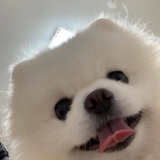 三天可见