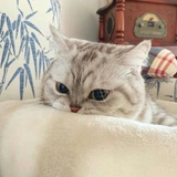 没什么好看的