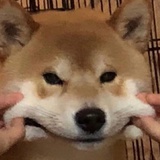 行走江湖