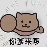 萝卜炖牛肉
