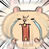 小狗推广大使