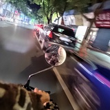 耳朵耳朵香