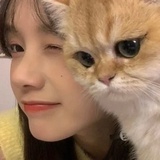 甜橙🍊