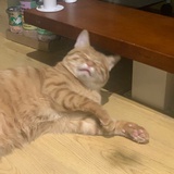 Selù
