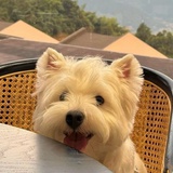 想暴富