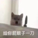 抹茶星冰乐