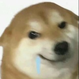 我是江湖骗子