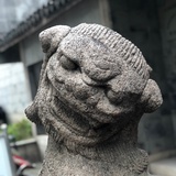 双塔门口石狮子