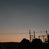 朝朝