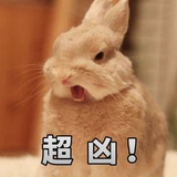 起腻