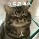 嘟噜嘟噜嘟