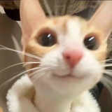 soju