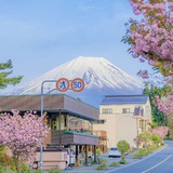 追光者