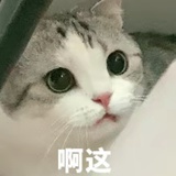 胡椒味的猫头
