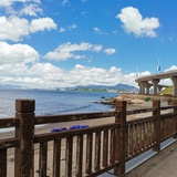 浮游