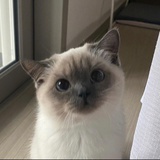 豆友180865208