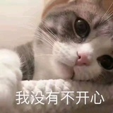 菠萝面包🍞