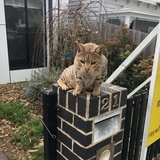 木木夕