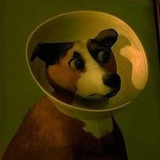 禁止一切