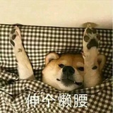 豆瓣皮卡丘