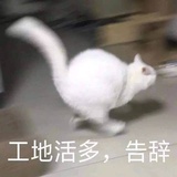 小絮