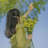 暮森