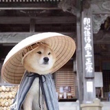 涸辙之鲋
