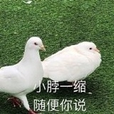 ————