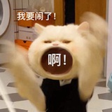 萝卜拖拖拖