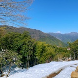 姗姗来迟