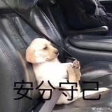 翩翩