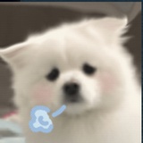 今天早睡了吗