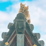 = =