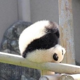一辈子的雕刻师