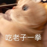 一碗樟叶